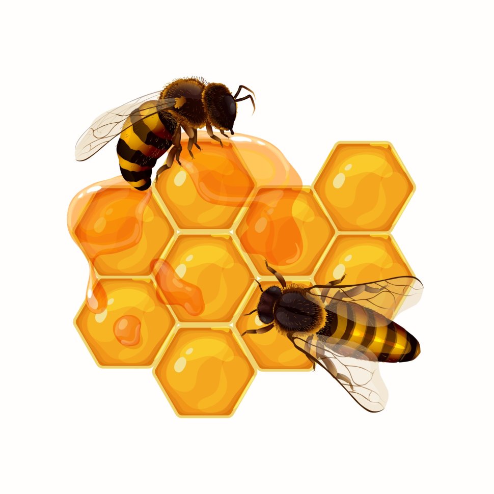 Bee-CAUSE We Care