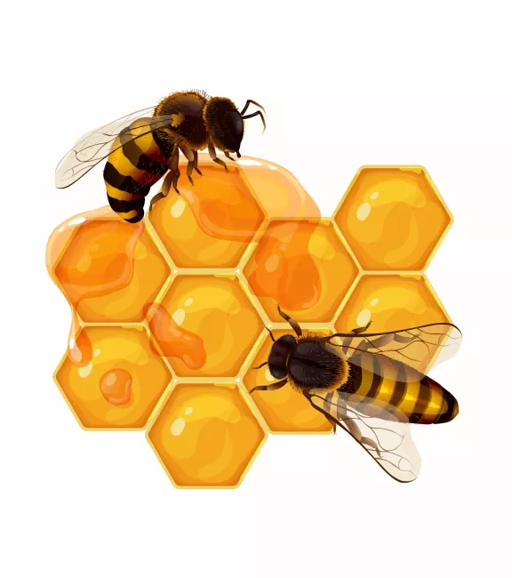 Bee-CAUSE We Care
